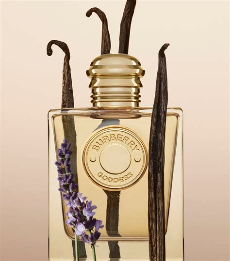 burberry goddess edt|where to buy burberry her.